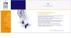 Desktop Screenshot of delaneyacademy.com